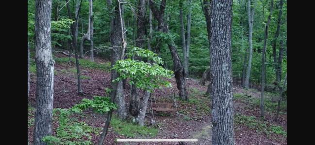 594 Lookout Crest Lane, Lookout Mountain, Georgia 30750, Amerika Birleşik Devletleri