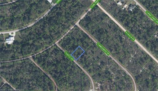 3229 Thistle Drive, Lake Placid, Florida 33852, USA