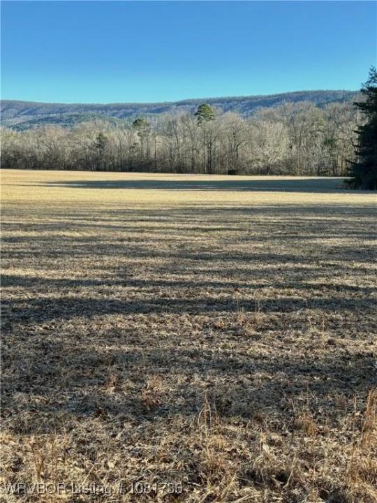 TBD Lot 4 Rocky Road, Hodgen, Oklahoma 74939, USA