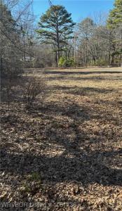 TBD Lot 4 Rocky Road, Hodgen, Oklahoma 74939, USA