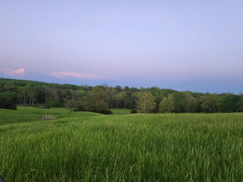 TRACT 2 N BARNETT SCHOOL RD, STURGEON, Missouri 65284