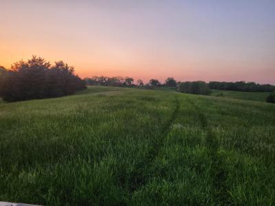 TRACT 2 N BARNETT SCHOOL RD, STURGEON, Missouri 65284