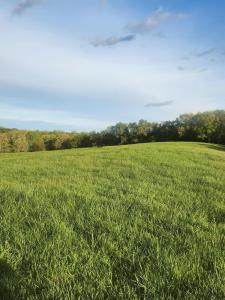 TRACT 2 N BARNETT SCHOOL RD, STURGEON, Missouri 65284