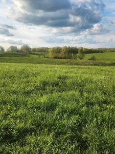 TRACT 2 N BARNETT SCHOOL RD, STURGEON, Missouri 65284