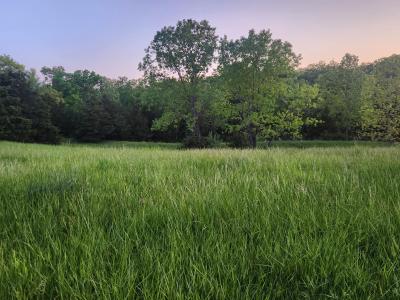 TRACT 2 N BARNETT SCHOOL RD, STURGEON, Missouri 65284