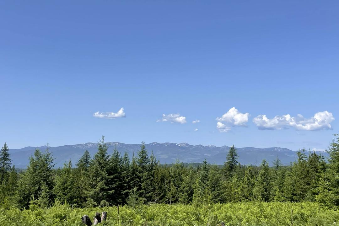 601 Coyote Trail, Sandpoint, 爱达荷州 83864, 美国
