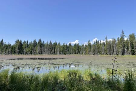 601 Coyote Trail, Sandpoint, 爱达荷州 83864, 美国
