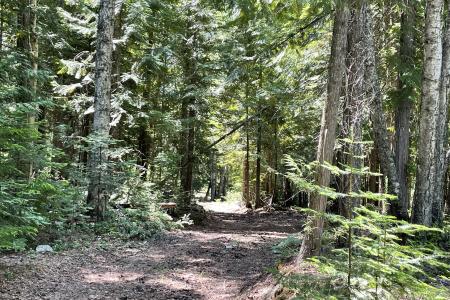 601 Coyote Trail, Sandpoint, 爱达荷州 83864, 美国
