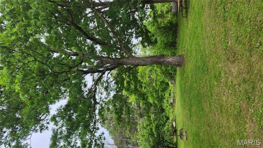 20859 Hwy V v, Licking, Missouri 65542, Estados Unidos