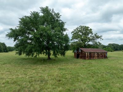 TBD CR 2142, Bagwell, Texas 75412, Estados Unidos