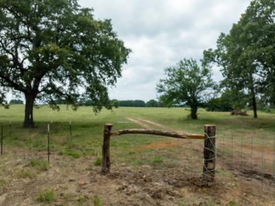 TBD CR 2142, Bagwell, Texas 75412, Estados Unidos