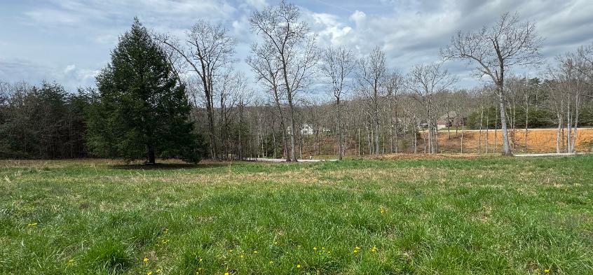 36 & 37 Ridgeline Dr, London, Kentucky 40741, États-Unis