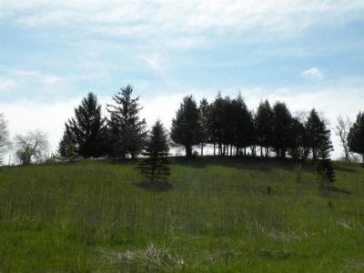 217 Stone Hill Court, Ripon, Wisconsin 54971, USA