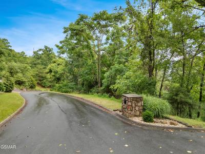 9097 Paradise View Drive, Mooresburg, Tennessee 37811, USA