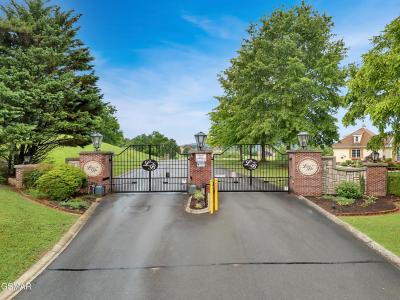 9097 Paradise View Drive, Mooresburg, 테네시 37811, 미국