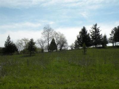 209 Stone Hill Court, Ripon, Wisconsin 54971, USA
