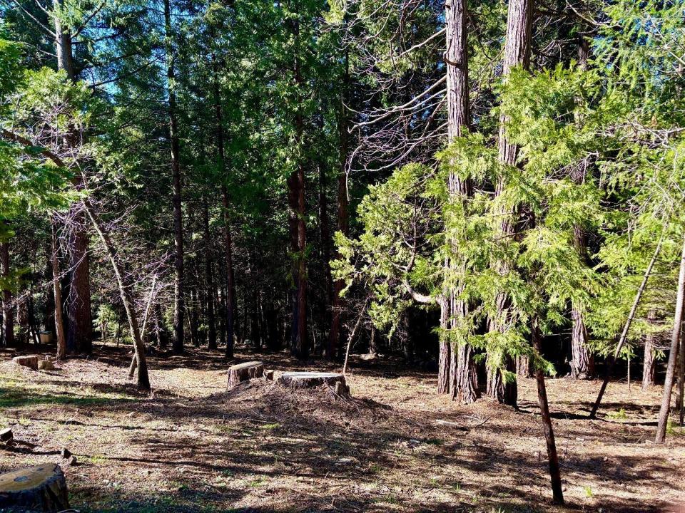 Park Woods Drive, Pollock Pines, 캘리포니아 95726, 미국