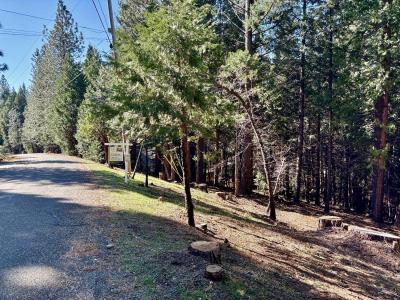Park Woods Drive, Pollock Pines, California 95726, USA
