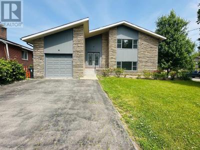 67 CHELMSFORD AVENUE, Toronto (newtonbrook West), Ontario M2R 2W5, Canada