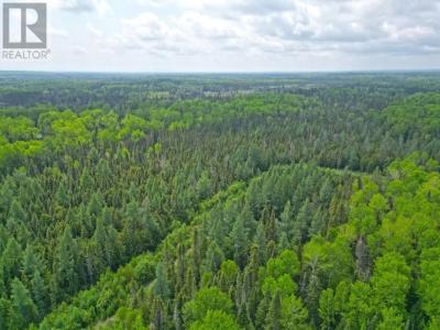2999 ALICE AVE, Thunder Bay, Ontario P7G 1X4, Canada