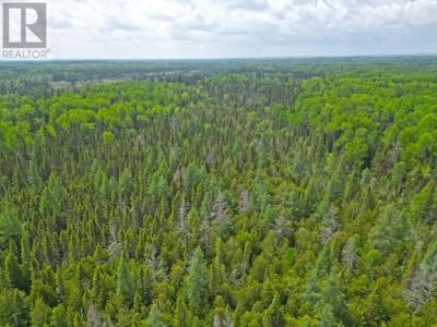 2999 ALICE AVE, Thunder Bay, Ontario P7G 1X4, Canada