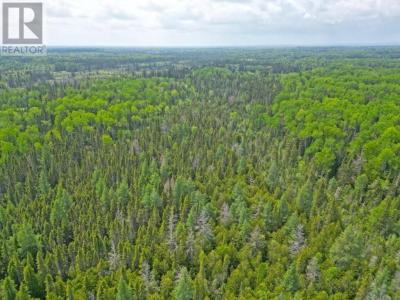 2999 ALICE AVE, Thunder Bay, Ontario P7G 1X4, Canada