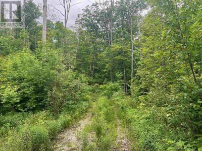 PART OF GRANARY LAKE RD, Blind River, Ontario P0R 1B0, CANADÁ