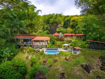 Camino pico , Savegre Quepos, Puntarenas 00001, Costa Rica