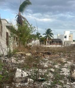 Progreso, Yucatan 97330, Mexico