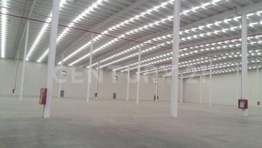 Pesqueria, נואבו לאון 66655, מקסיקו 