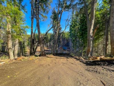 Los Fresnos 100, Villa La Angostura, Neuquen 8407, ארגנטינה