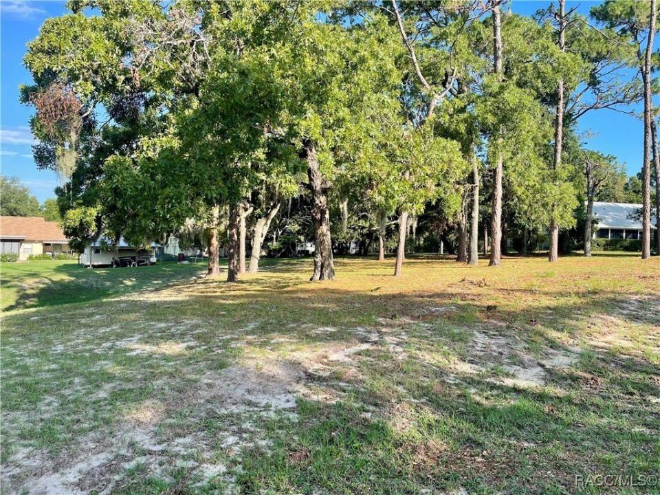 Crystal River, Floryda 34429, USA