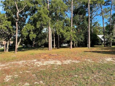 Crystal River, Floryda 34429, USA