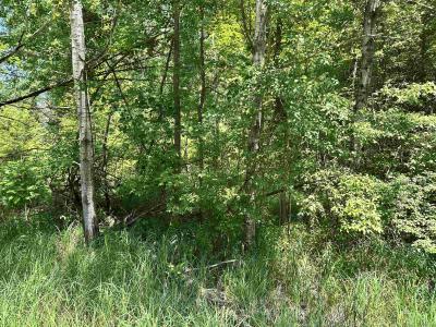 VL Pinconning, Beaverton, Michigan 48612, Estados Unidos