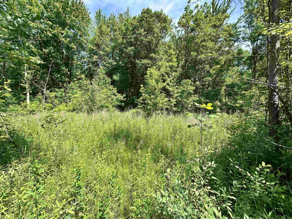 VL Dale, Beaverton, Michigan 48612, États-Unis