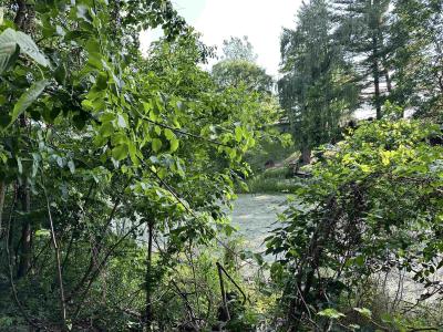 4020 Wieman, Beaverton, Michigan 48612, États-Unis