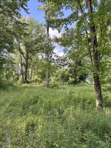 4020 Wieman, Beaverton, Michigan 48612, Estados Unidos