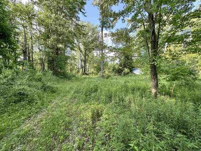 4020 Wieman, Beaverton, Michigan 48612, Estados Unidos
