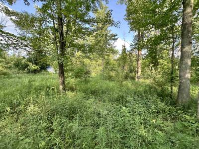 4020 Wieman, Beaverton, Michigan 48612, Estados Unidos