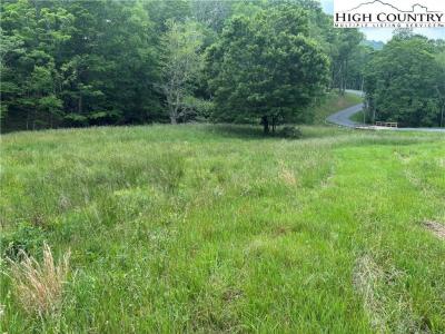 Lot 53 Poplar Forest, Boone, Carolina Del Norte 28607, Estados Unidos