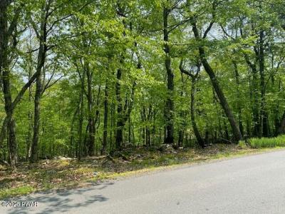 Arrowood Drive, Milford, Pennsylvanie 18337, États-Unis