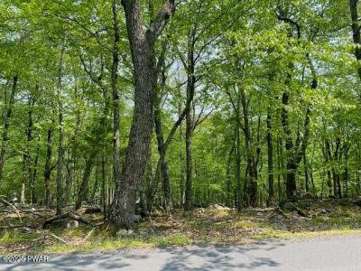 Arrowood Drive, Milford, Pennsylvania 18337, USA