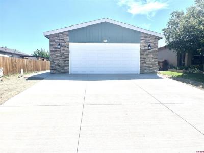 133 Castle Avenue, Montrose, Colorado 81401, USA