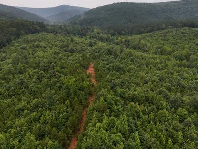 Unk Polk Road 72, Mena, Arkansas 71953