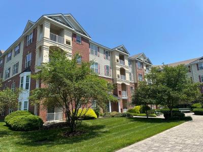 1424 Colts Circle, Lawrence, 新泽西州 08648, 美国