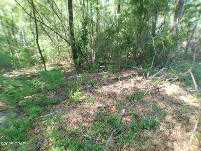 Christian Life Road 17.25, Defuniak Springs, Florida 32433, Amerika Birleşik Devletleri