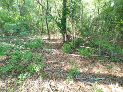 Christian Life Road 17.25, Defuniak Springs, Florida 32433, Amerika Birleşik Devletleri