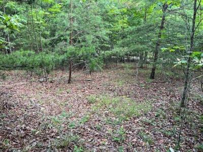 Lot 13 Gladys Lane, Young Harris, Джорджия 30582, Соединенные Штаты