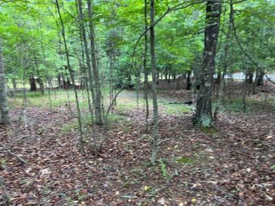 Lot 13 Gladys Lane, Young Harris, Джорджия 30582, Соединенные Штаты