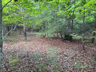 Lot 13 Gladys Lane, Young Harris, Джорджия 30582, Соединенные Штаты